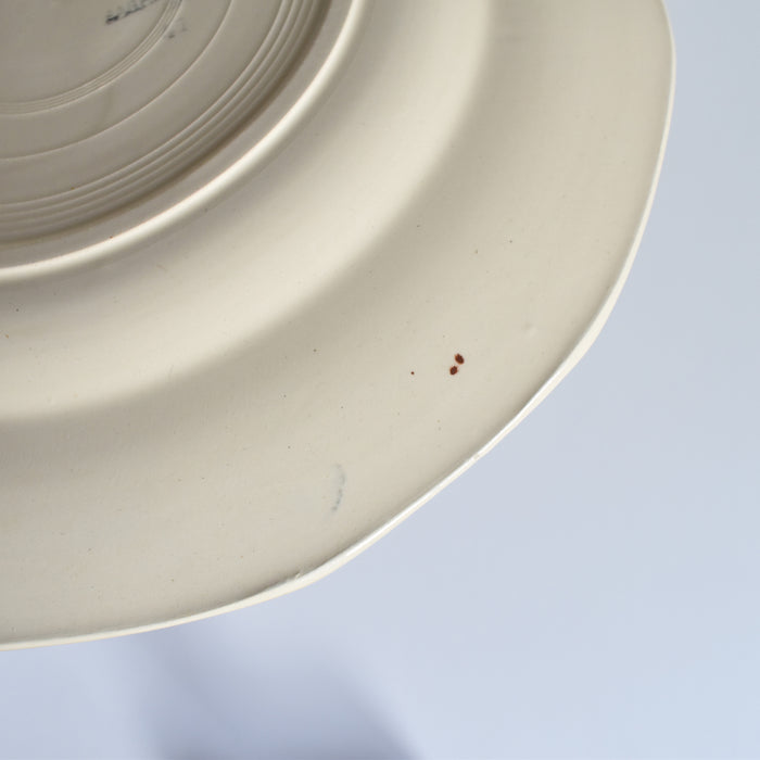 ヴィンテージプレート ディゴワン＆サルグミンヌ 9189 D