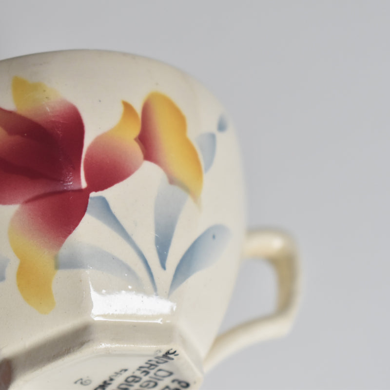 Vintage Coffee Cup and Saucer Digoin & Sarreguemines Iris 9225 D