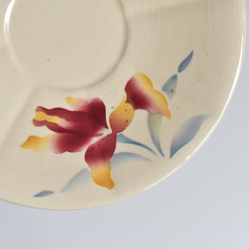 Vintage coffee cup and saucer, Digoin & Sarreguemines Iris 9225 F