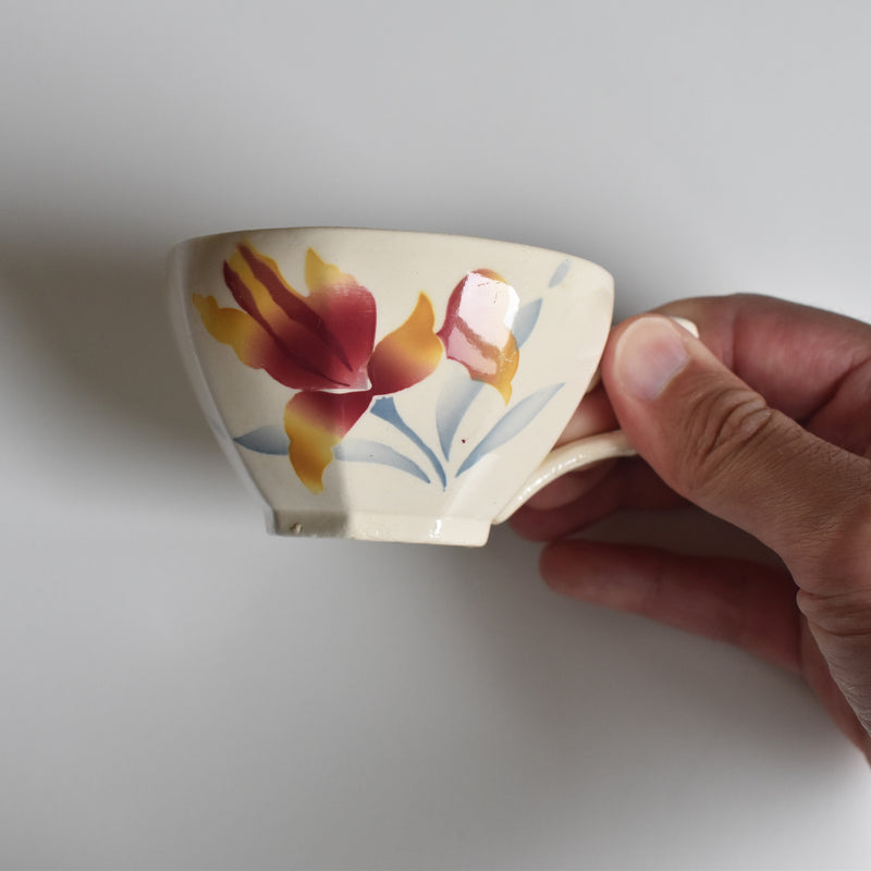 Vintage coffee cup and saucer, Digoin & Sarreguemines Iris 9225 F