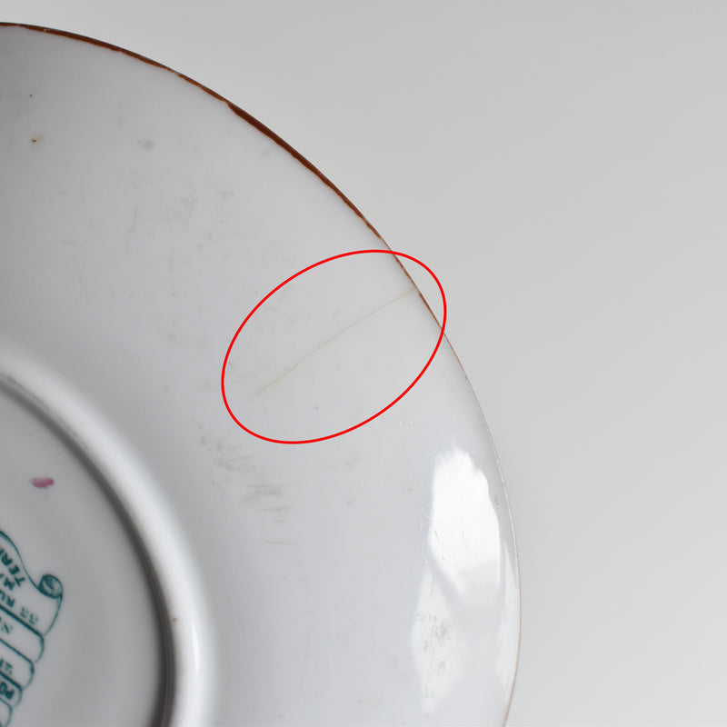 Antique Cup & Saucer Sarreguemines Minton 235 (Grand Depots) B