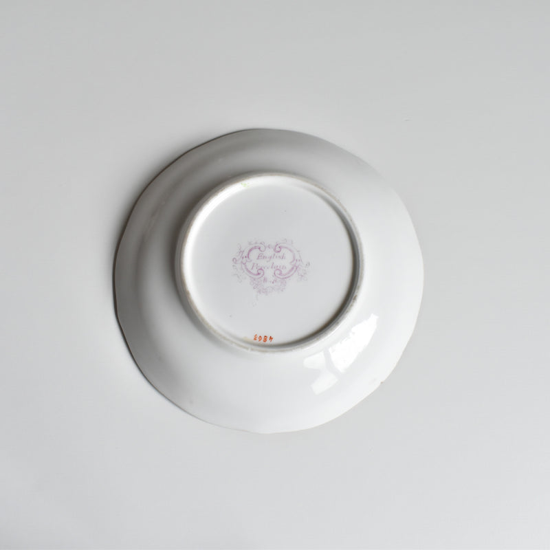 Antique Cup & Saucer Minton Cockatrice