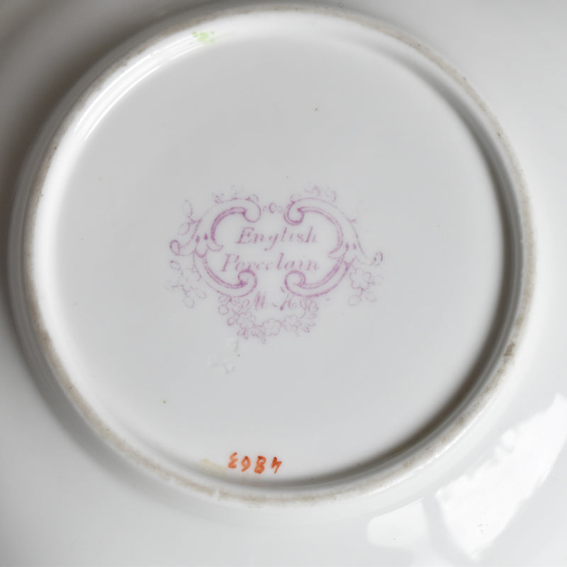 Antique Cup & Saucer Minton Cockatrice