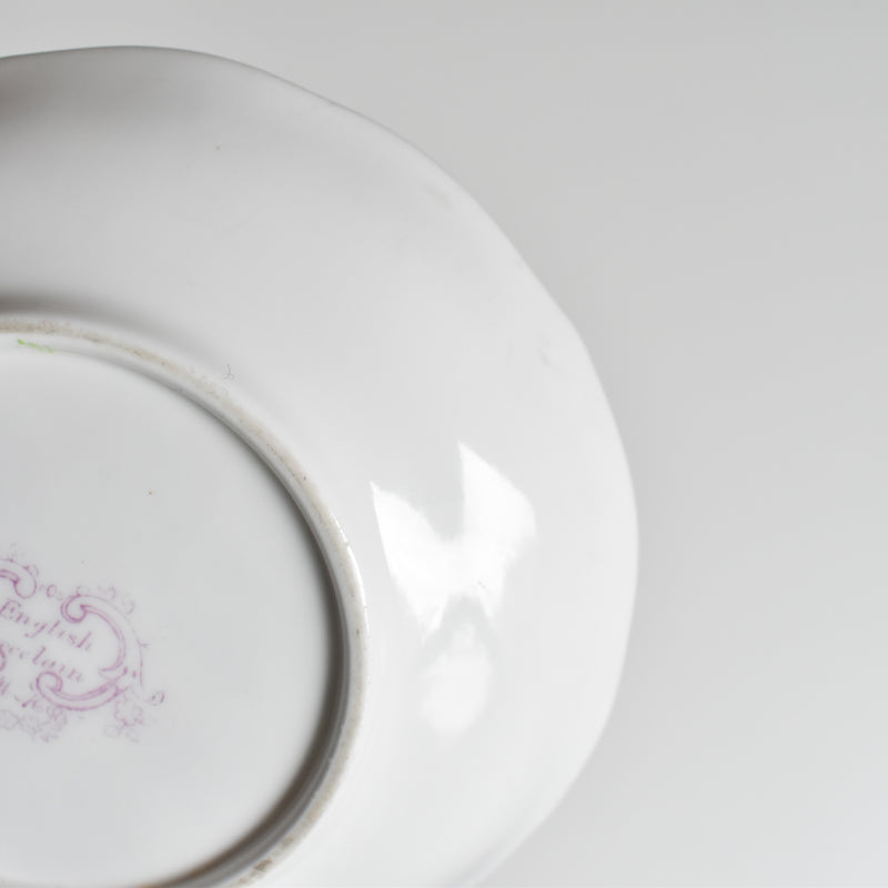 Antique Cup & Saucer Minton Cockatrice
