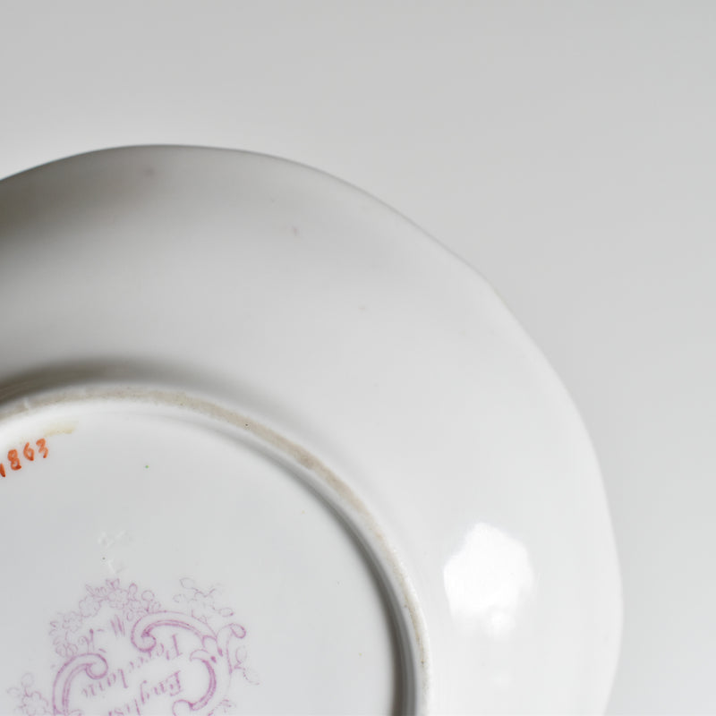 Antique Cup & Saucer Minton Cockatrice