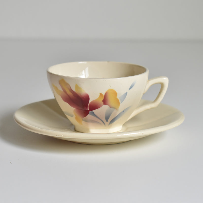 Vintage Coffee Cup and Saucer Digoin & Sarreguemines Iris 9225 D