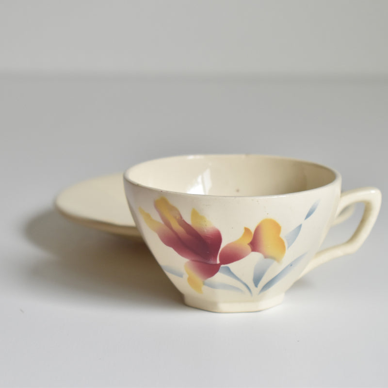 Vintage Coffee Cup and Saucer Digoin & Sarreguemines Iris 9225 D