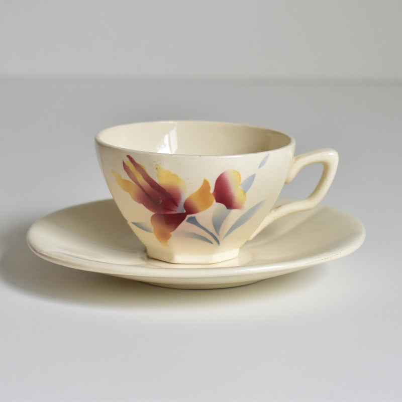 Vintage Coffee Cup and Saucer Digoin & Sarreguemines Iris 9225 B