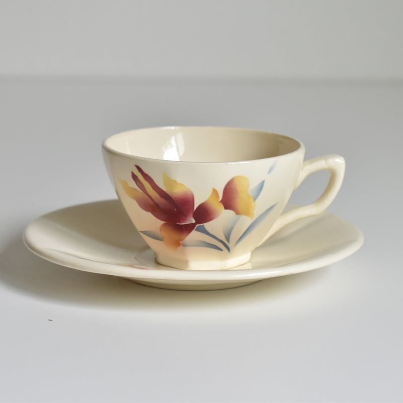 Vintage Coffee Cup and Saucer, Digoin & Sarreguemines Iris 9225 A
