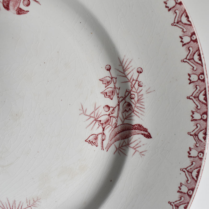 Antique Plate Saint-Amand Dinosaure Muguet (Pink) A