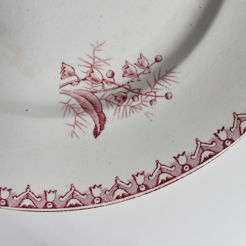 Antique Plate Saint-Amand Dinosaure Muguet (Pink) A
