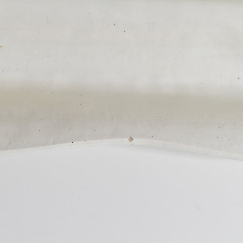 アンティークバルボティーヌ アスパラガスサービスプレート サンクレマン