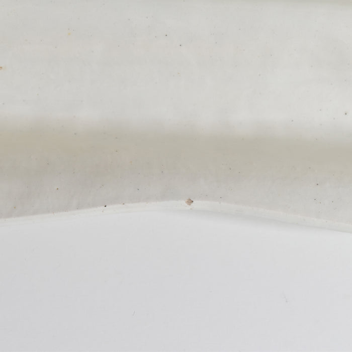 アンティークバルボティーヌ アスパラガスサービスプレート サンクレマン