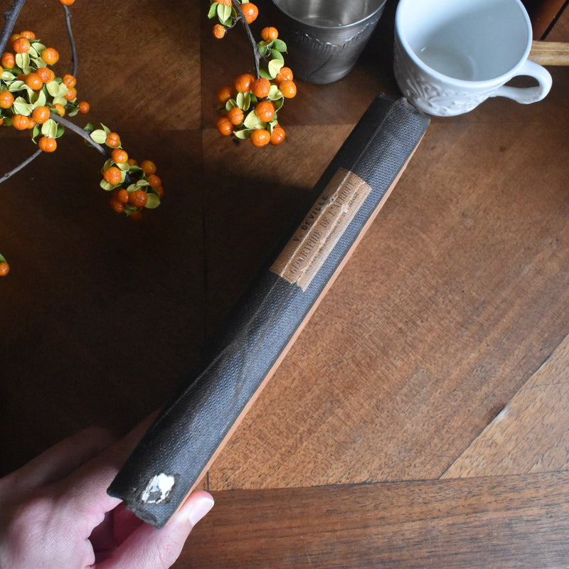 Antique book: géographie (geography)