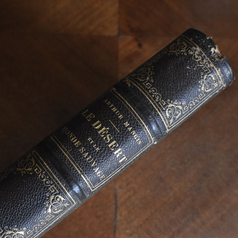 アンティーク本 Le désert et le monde sauvage