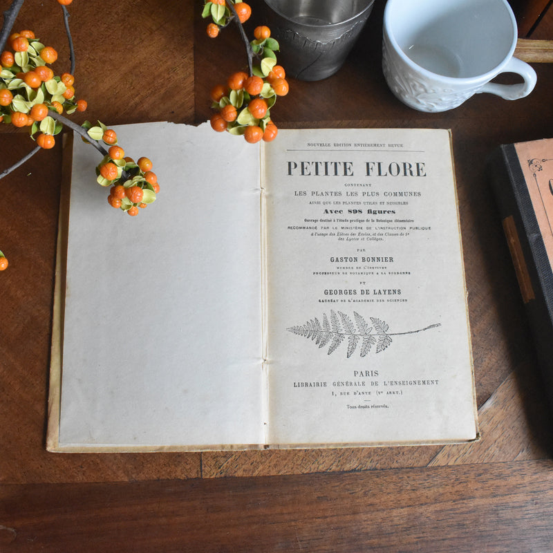 アンティーク本 Petite Flore　（フローラ辞典）