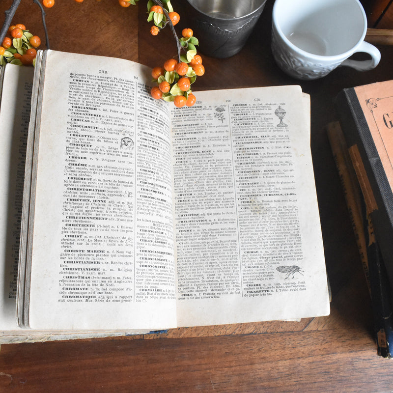 Antique Book: Pierre Larousse Dictionnaire Complet, 1890 (Dictionary)