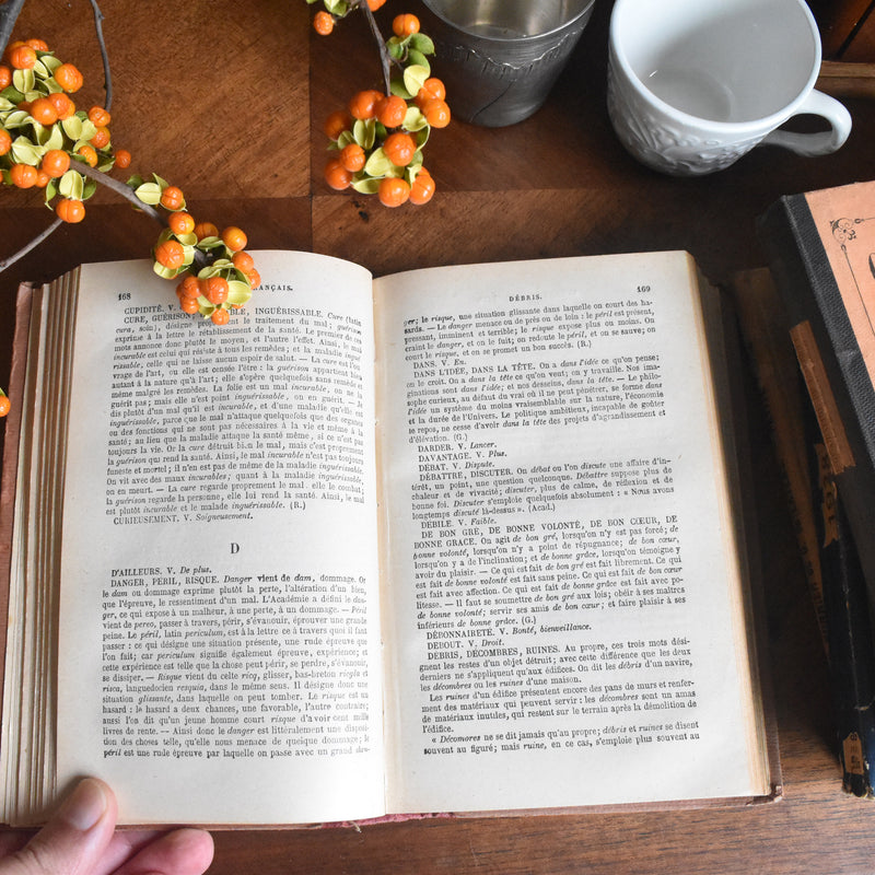 vintage book synonyms (thesaurus)