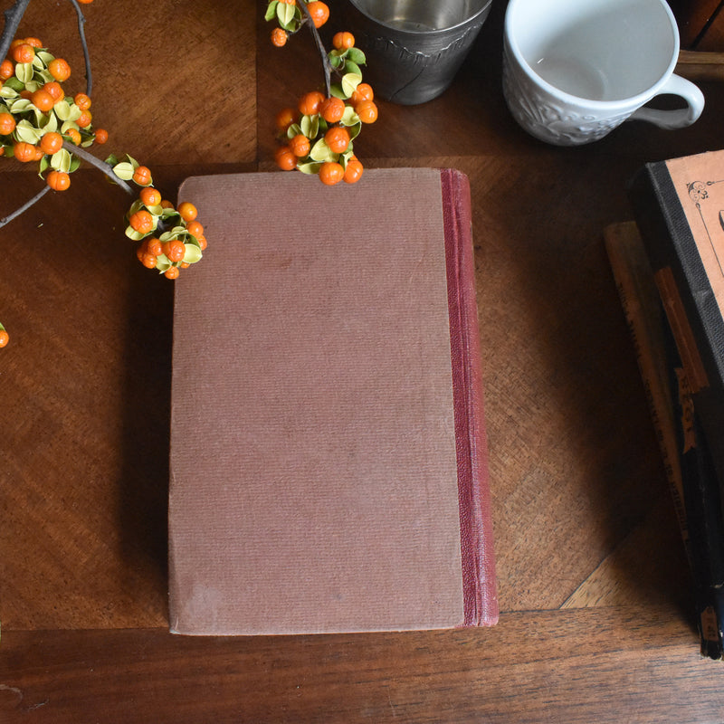 vintage book synonyms (thesaurus)