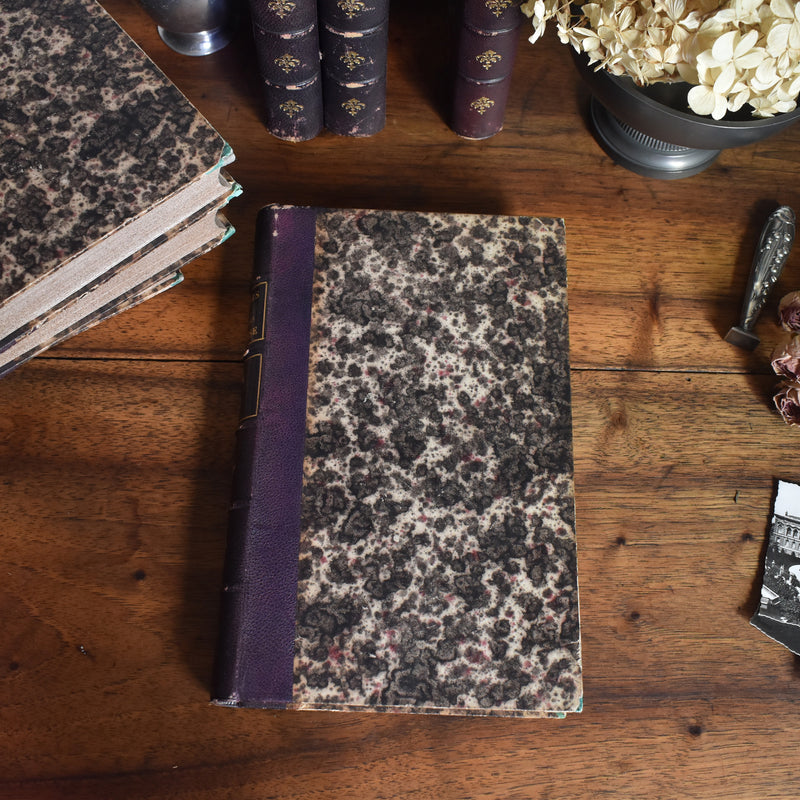 アンティーク本 A.THIERS Révolution Française Tome 6