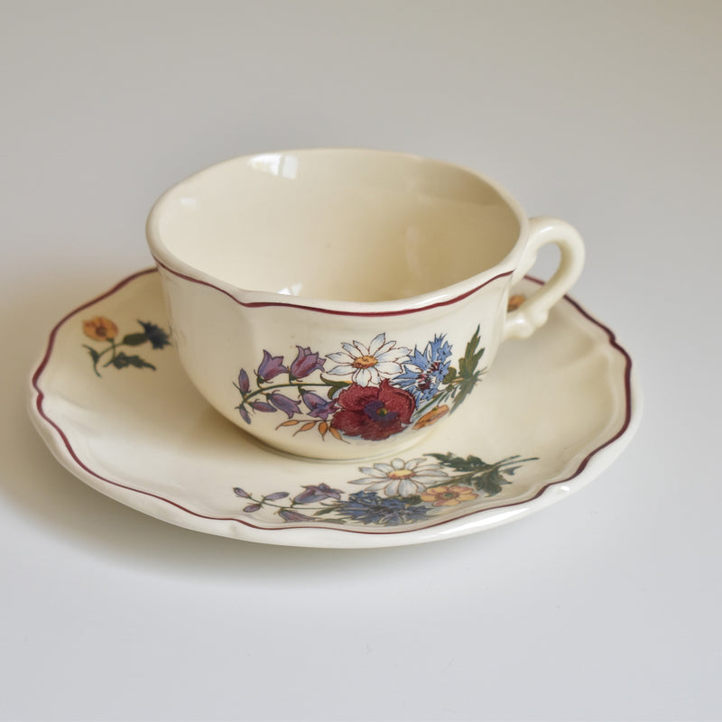 Vintage Chocolate Cup & Saucer Digoin & Sarreguemines Agreste