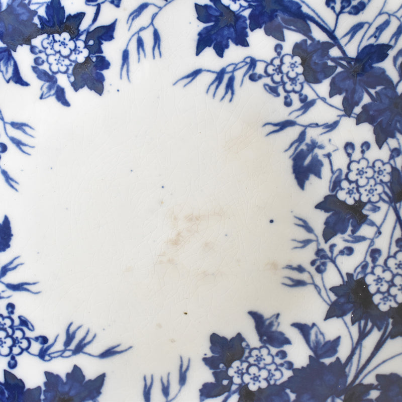 Antique Compote Dish Creil-Montereau Flora / Hawthorn