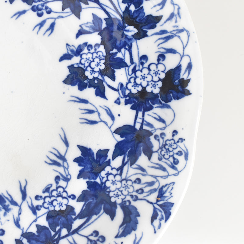 Antique Compote Dish Creil-Montereau Flora / Hawthorn