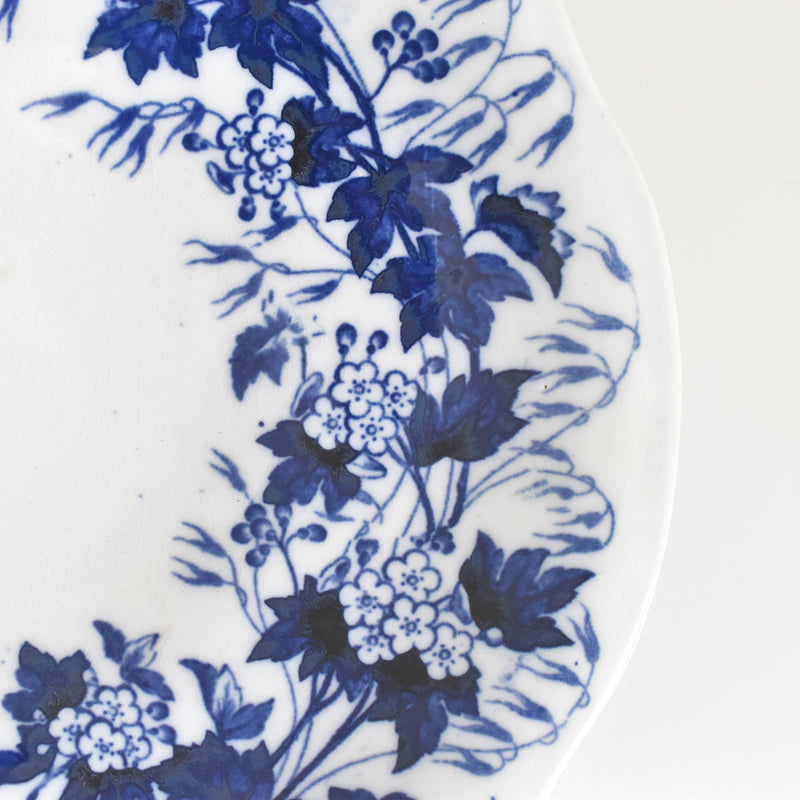 Antique Compote Dish Creil-Montereau Flora / Hawthorn