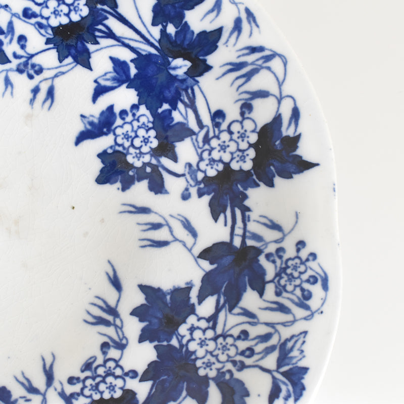Antique Compote Dish Creil-Montereau Flora / Hawthorn