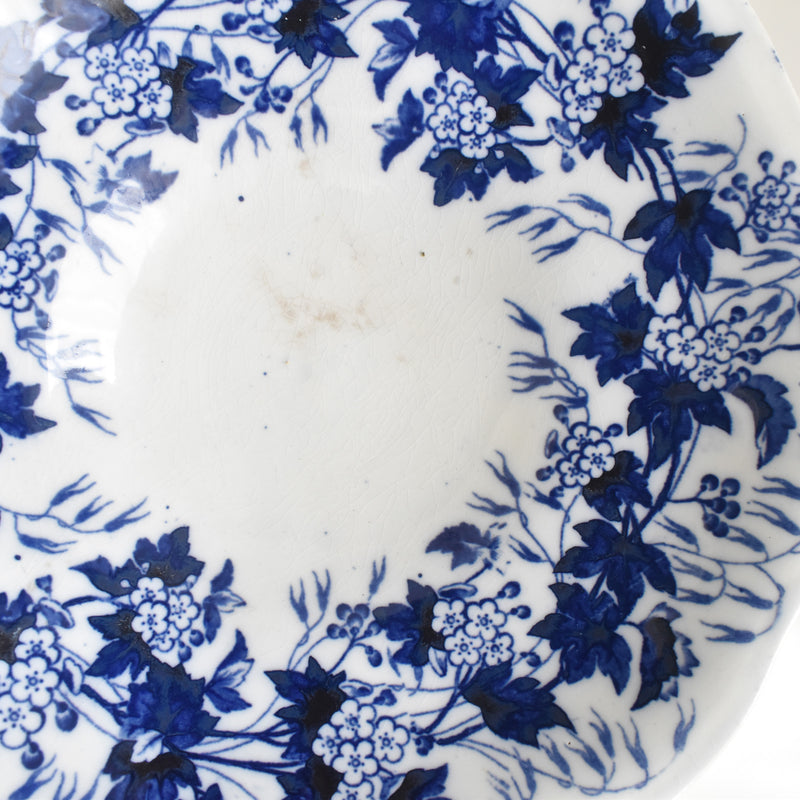 Antique Compote Dish Creil-Montereau Flora / Hawthorn