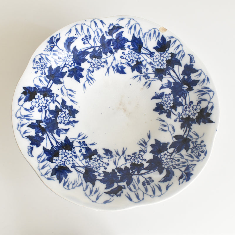 Antique Compote Dish Creil-Montereau Flora / Hawthorn
