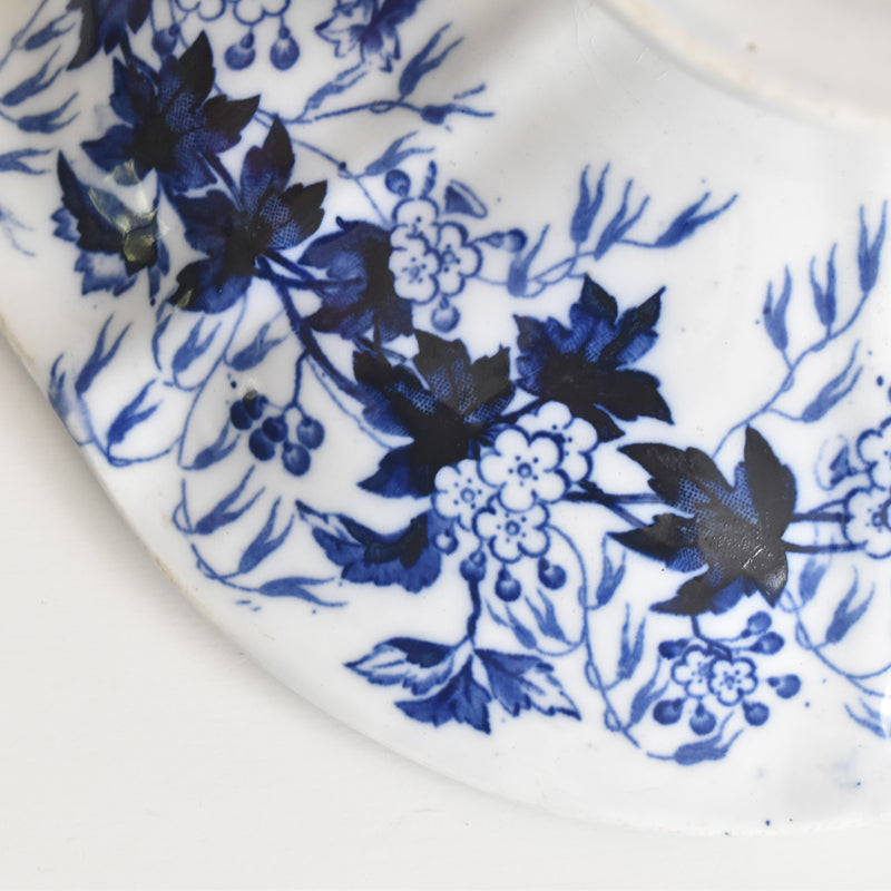 Antique Compote Dish Creil-Montereau Flora / Hawthorn