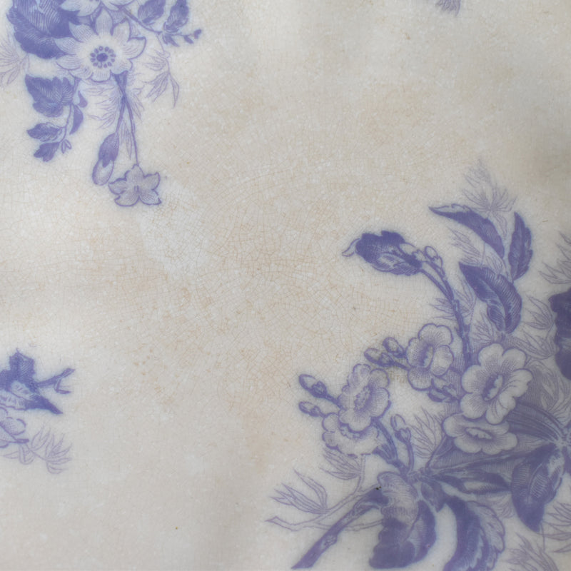 Antique Compotier U&C Sarreguemines Flora (Purple)