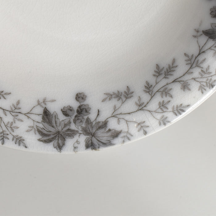 アンティークコンポティエ U&C サルグミンヌ Houblon （ホップ）