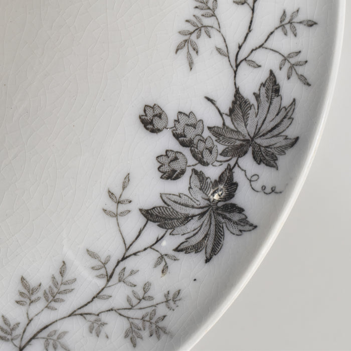 アンティークコンポティエ U&C サルグミンヌ Houblon （ホップ）