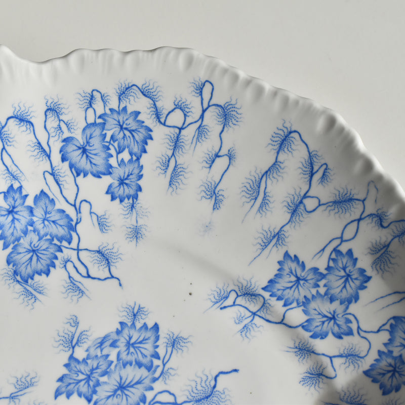 Antique compote dish LM&Cie Creil-Montereau Flora Lichen