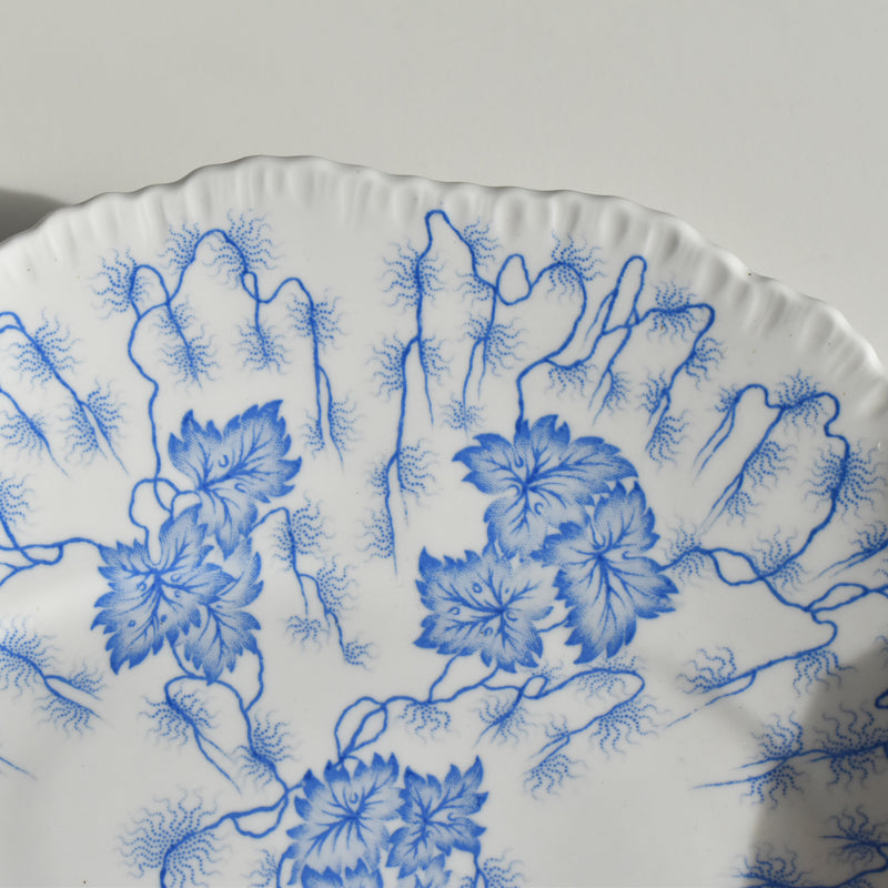Antique compote dish LM&Cie Creil-Montereau Flora Lichen