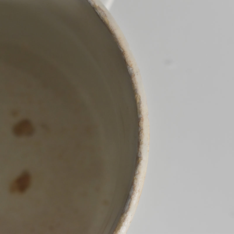 Antique Cup LM&Cie Creil et Montereau Flora Lichen