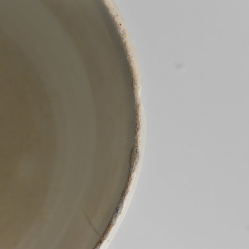Antique Cup LM&Cie Creil et Montereau Flora Lichen