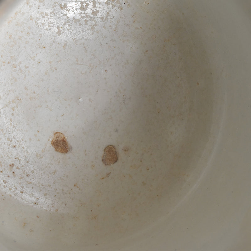 Antique Cup LM&Cie Creil et Montereau Flora Lichen