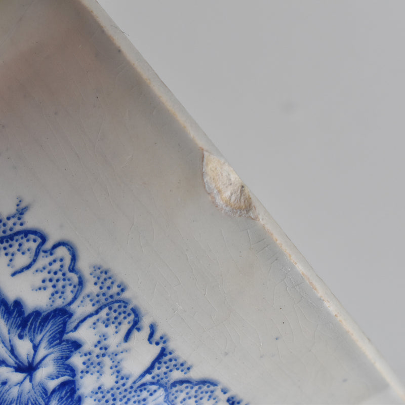 Antique Cup LM&Cie Creil et Montereau Flora Lichen