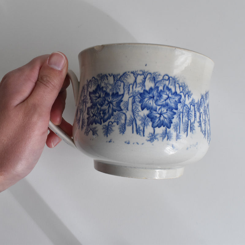 Antique Cup LM&Cie Creil et Montereau Flora Lichen