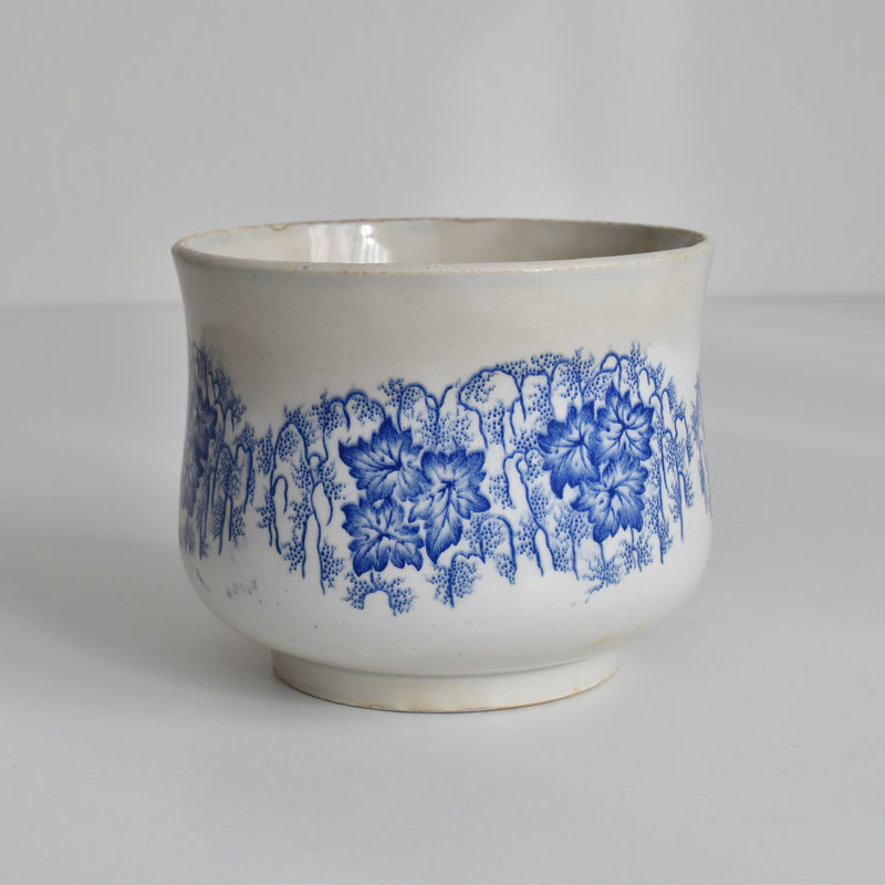 Antique Cup LM&Cie Creil et Montereau Flora Lichen