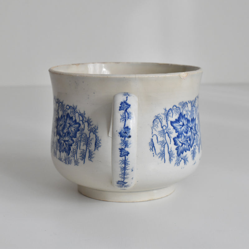 Antique Cup LM&Cie Creil et Montereau Flora Lichen