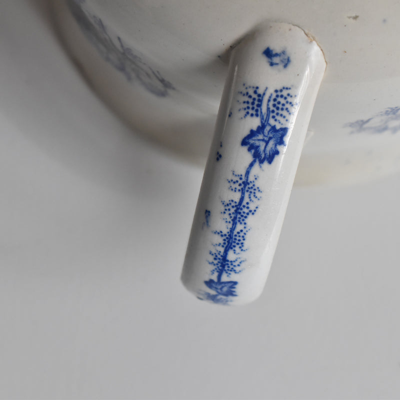 Antique Cup LM&Cie Creil et Montereau Flora Lichen