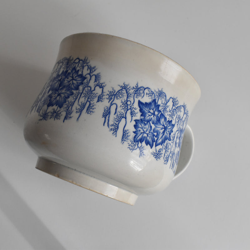 Antique Cup LM&Cie Creil et Montereau Flora Lichen