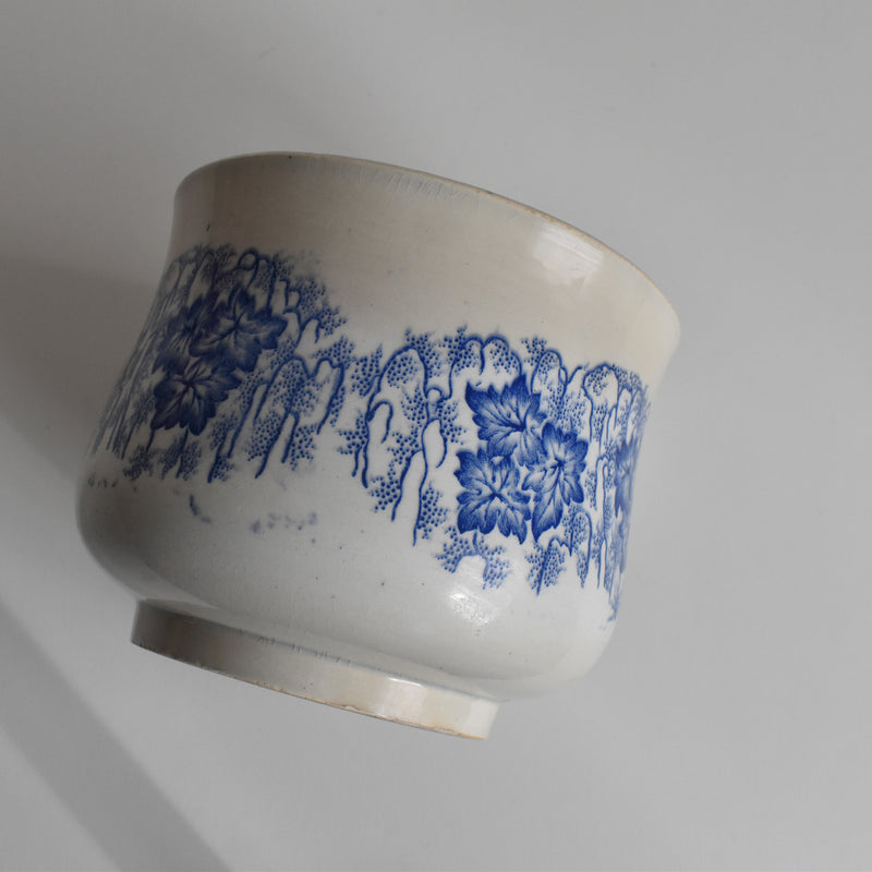 Antique Cup LM&Cie Creil et Montereau Flora Lichen