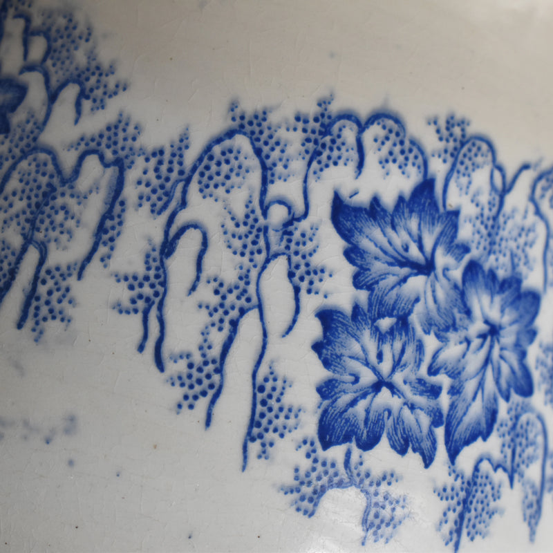Antique Cup LM&Cie Creil et Montereau Flora Lichen