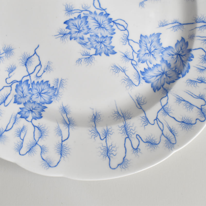 アンティークプレート LM&Cie クレイユモントロー Flora Lichen （フローラ リケン） A