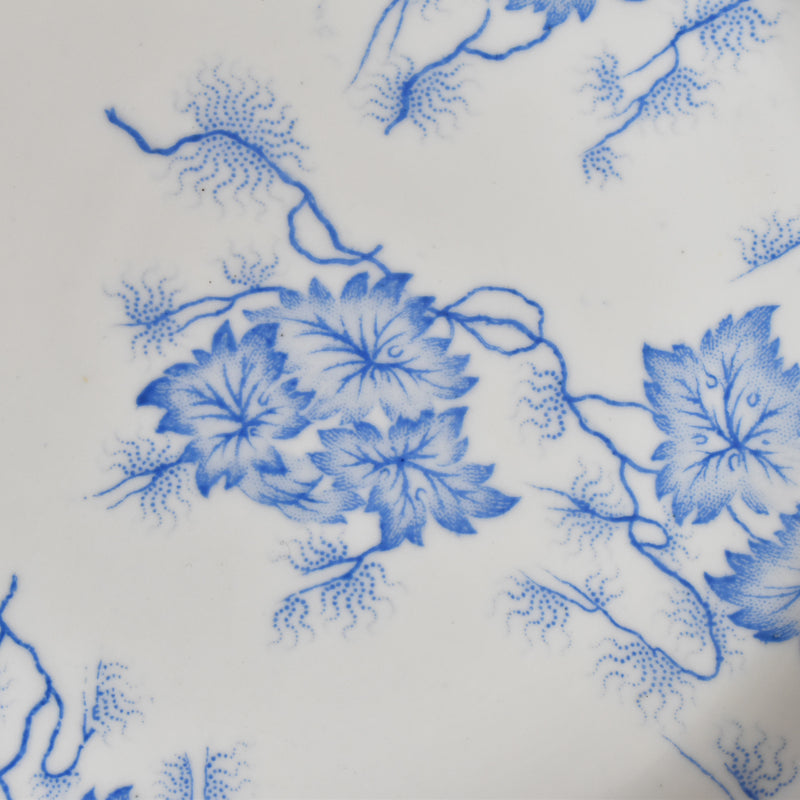 アンティークプレート LM&Cie クレイユモントロー Flora Lichen （フローラ リケン） A